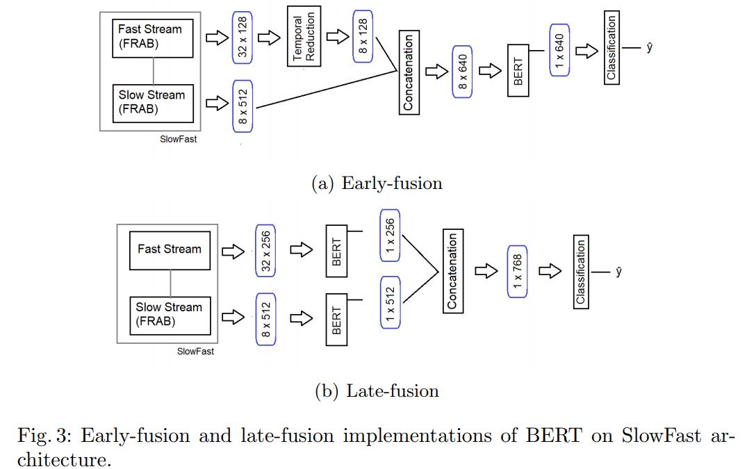 SlowFast-Architecture